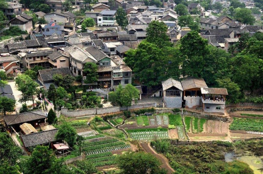 植物大战僵尸20